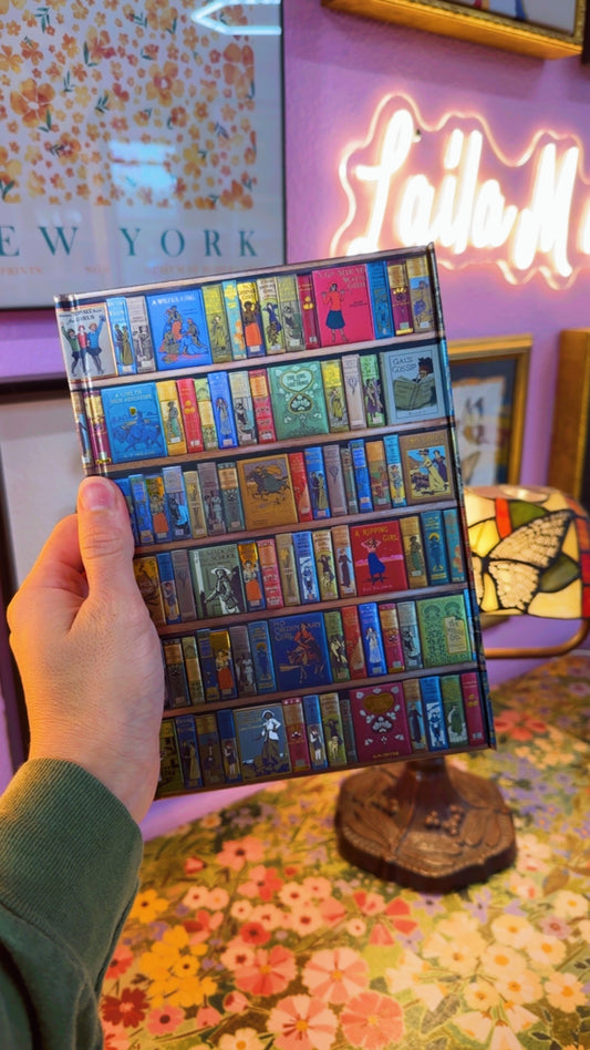 High Jink Bookshelves Notebook